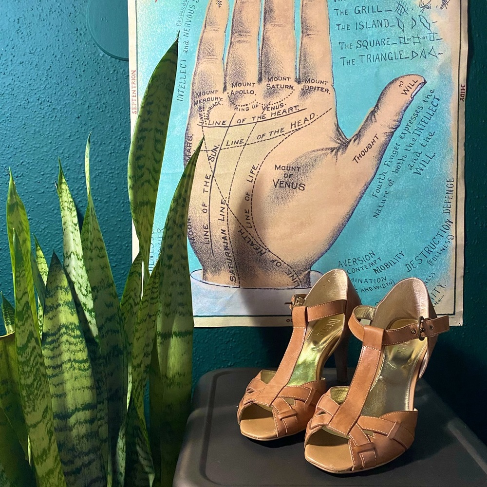 Brown Size 8 Nickels Heels